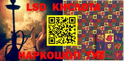 PSILOCYBIN Канаш