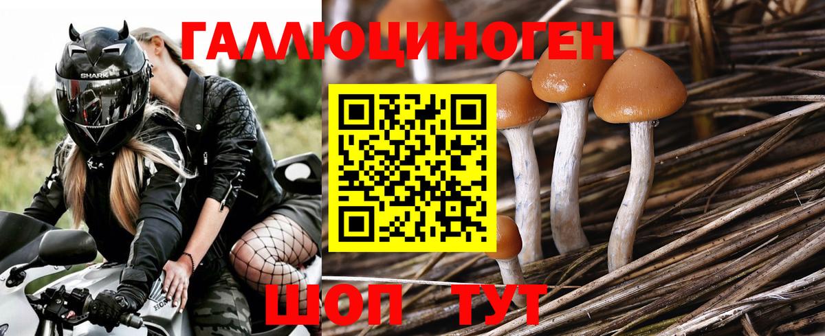 Псилоцибиновые грибы MAGIC MUSHROOMS Егорьевск