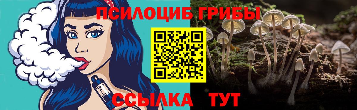 Псилоцибиновые грибы ЛСД  Вход с VPN  Егорьевск  Псилоцибиновые грибы мухоморы 
